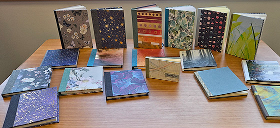 Books by Beth Lee and her students